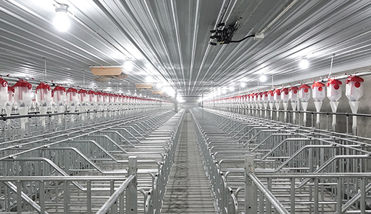 四川綿陽(yáng)梓潼5000種豬場(chǎng)