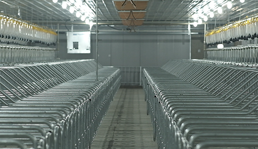 河南民權(quán)畢集6000種豬場(chǎng)