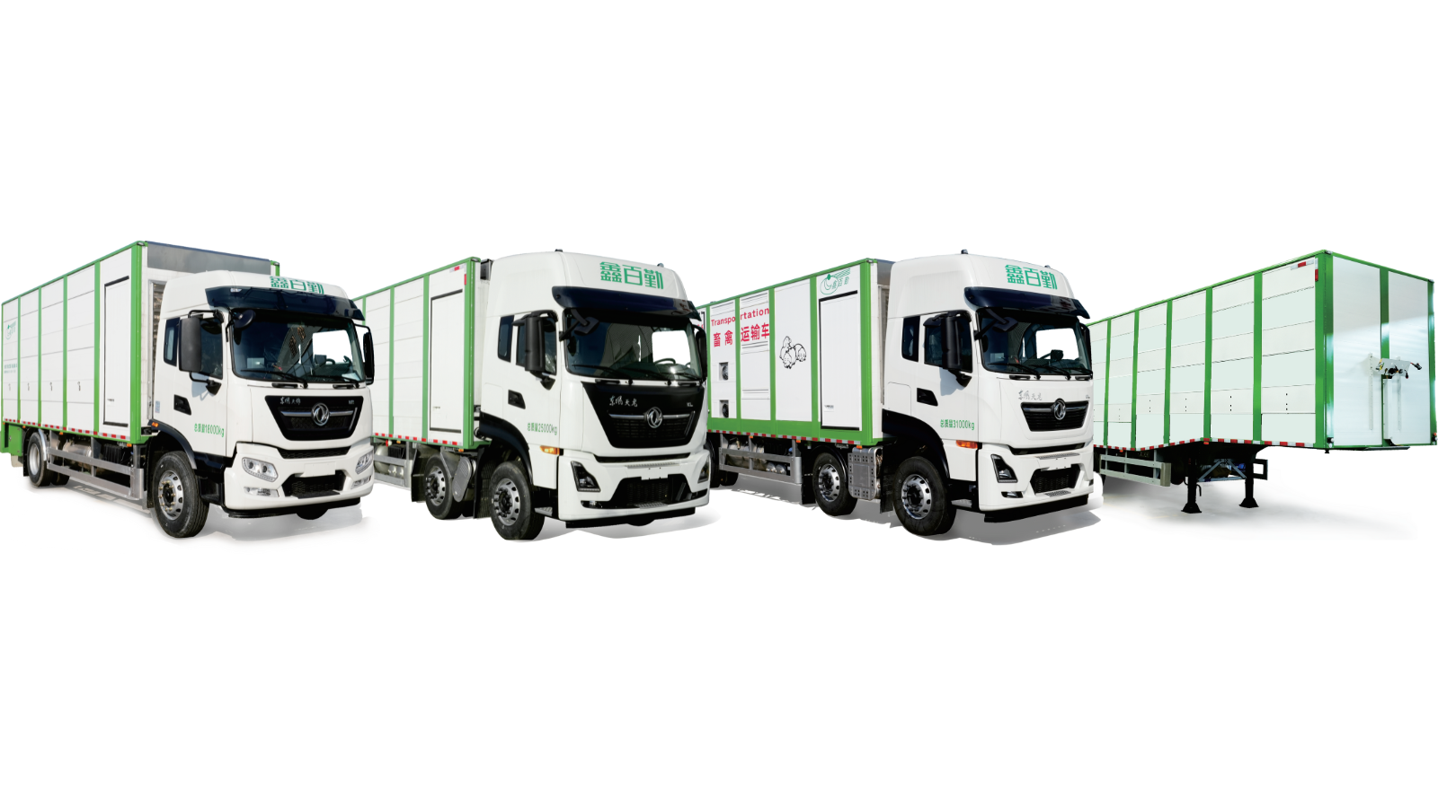 畜（雛）禽運(yùn)輸車